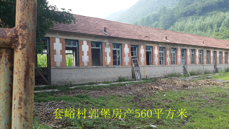 15̖  ��Ϫ�M�����οh������С�W(xu��)У��