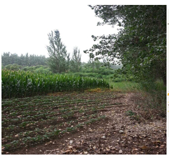 3̖(h��o)  ��ɽ��ǧɽ�^(q��)���(y��ng)���(zh��n)�O���´弯�w����ʹ�Ù�(qu��n)2̎