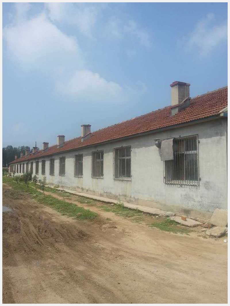 86̖(h��o) �����Ж|���(zh��n)�|�Ĵ巿�a(ch��n)����(gu��)������ʹ�Ù�(qu��n)