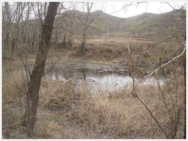 13̖ �����н����(zh��n)�μҴ巽��