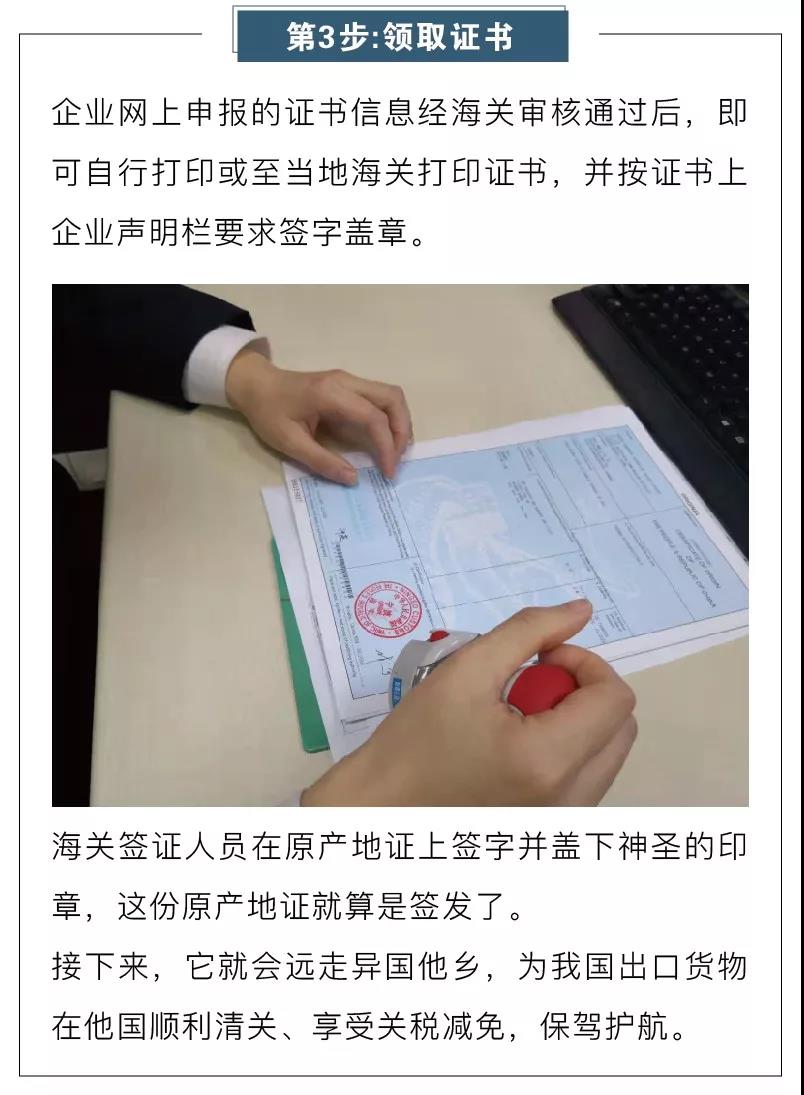 1551690532853923.jpg 10.jpg