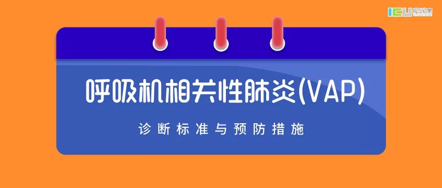 1593506161612017.jpg 1.jpg